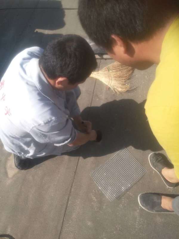 1480653134129138.jpg IMG_0088.JPG