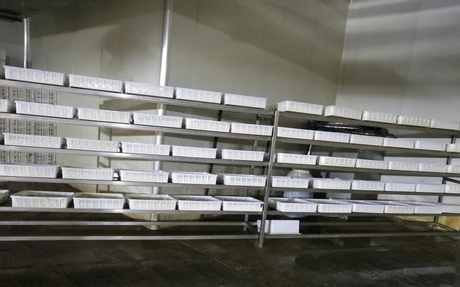 1569743560887107.png 圖片1(1)_副本.png