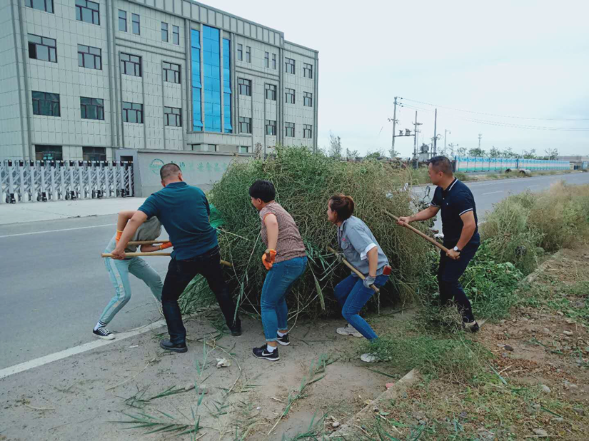 1569750024852580.png 清理雜草_副本.png