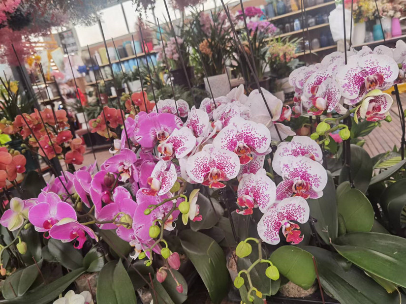 1682501993671312.jpg 微信圖片_20230222171017_副本.jpg